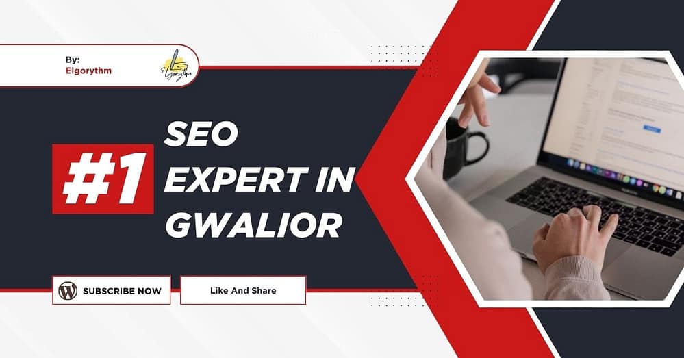 SEO Expert in Gwalior - Elgorythm SEO Expert in Gwalior