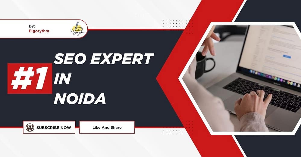 SEO Expert in Noida - Elgorythm SEO Expert in Noida