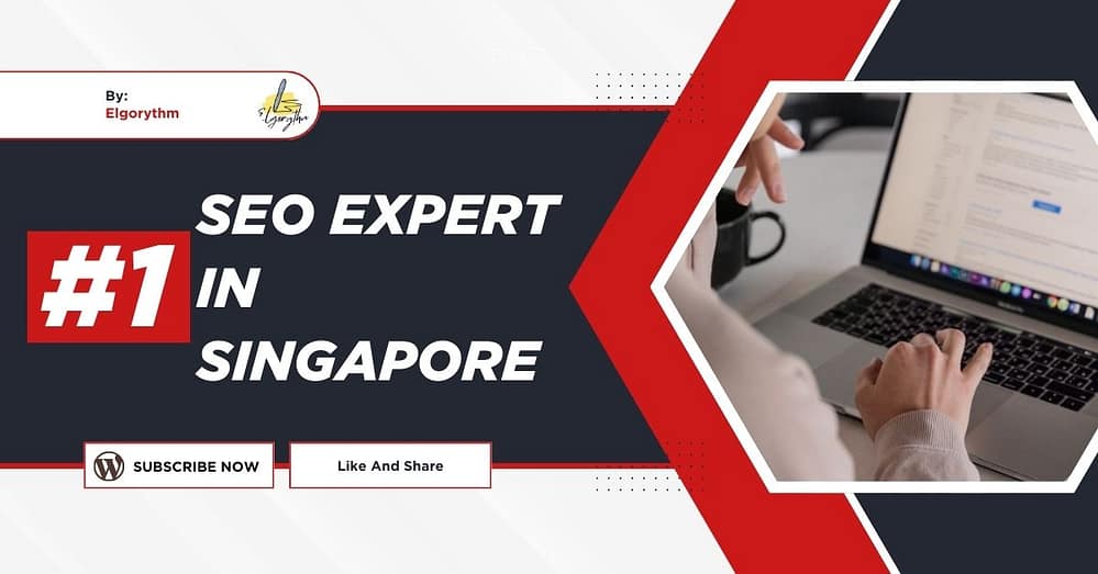 SEO Expert in Singapore - Elgorythm SEO Expert in Singapore