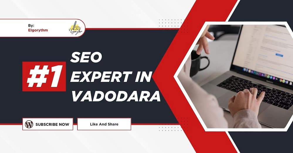 SEO Expert in Vadodara - Elgorythm SEO Expert in Vadodara