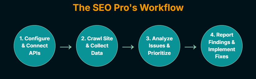 frog4 Screaming frog workflow