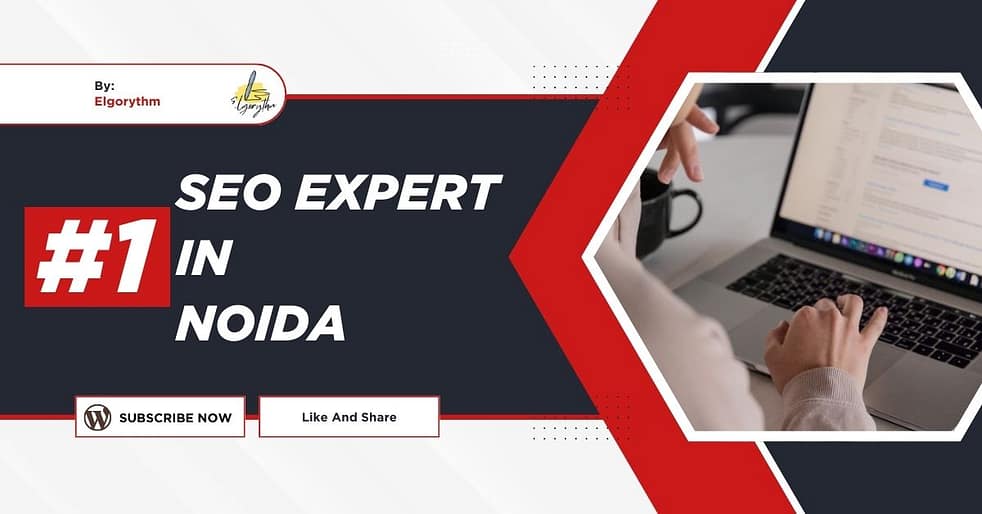 SEO Expert in Noida