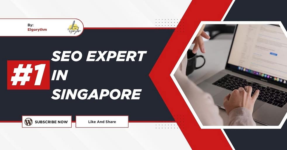 SEO Expert in Singapore