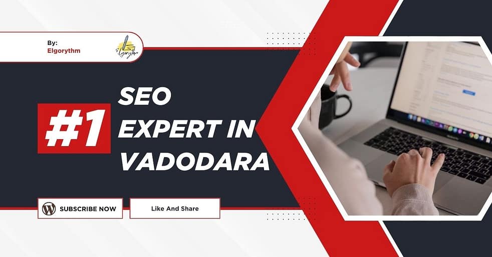 SEO Expert in Vadodara