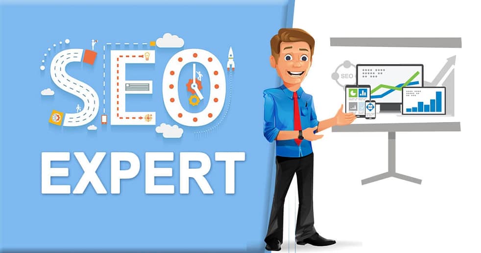 SEO Expert in Delhi